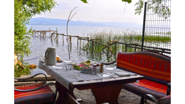 Günübirlik Sapanca Maşukiye Ormanya Turu